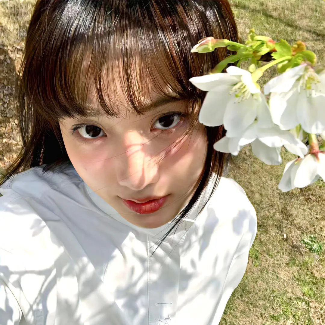 夏日春晖